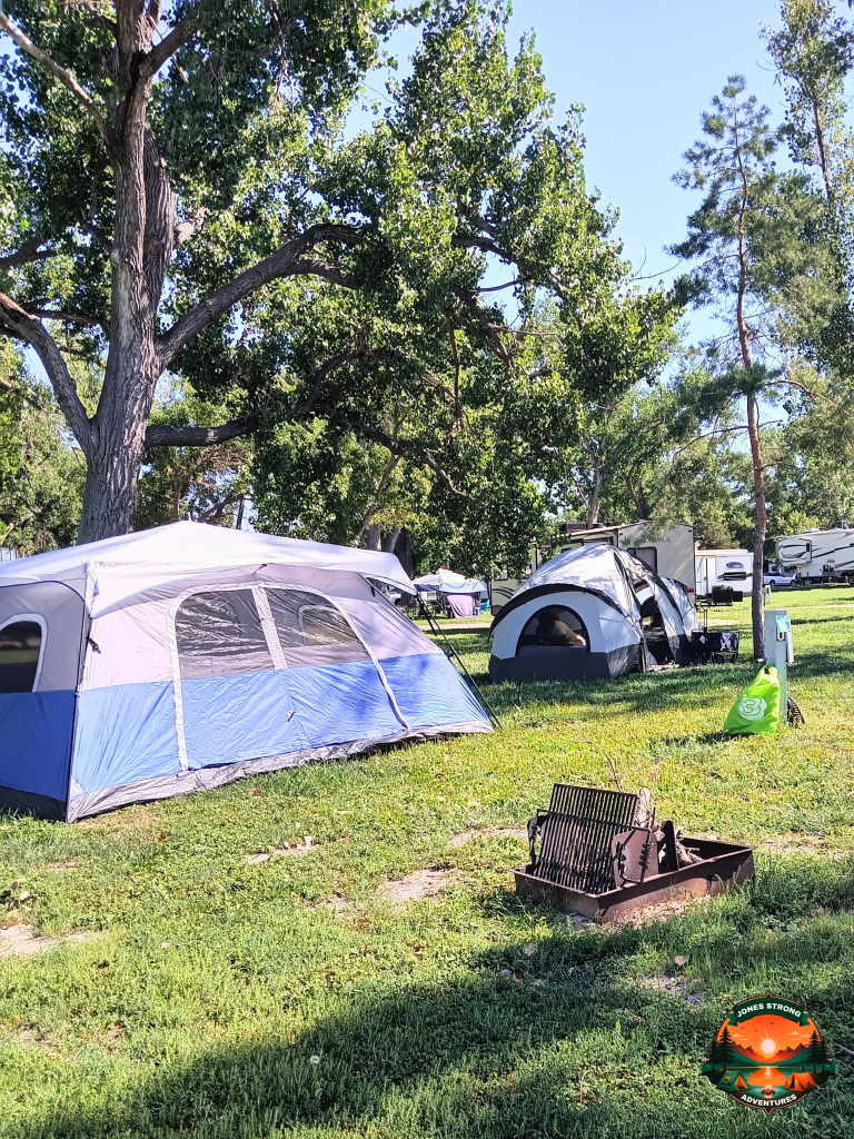 Tents set up at a shaded campground with RVs and vehicles in the background on a sunny day